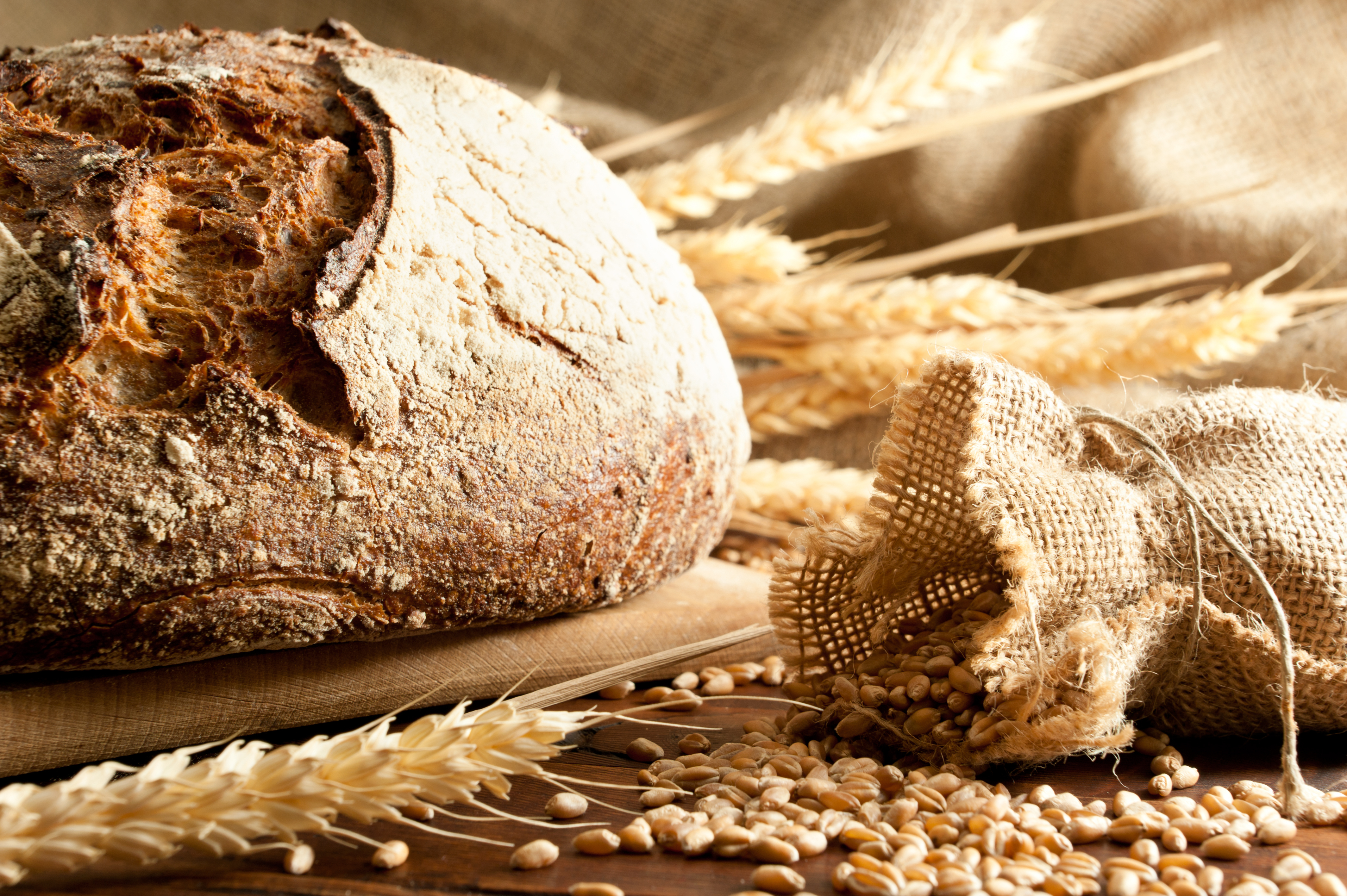 Rompan: Scăderea TVA la pâine a redus evaziunea fiscală cu 20% într-un an 
