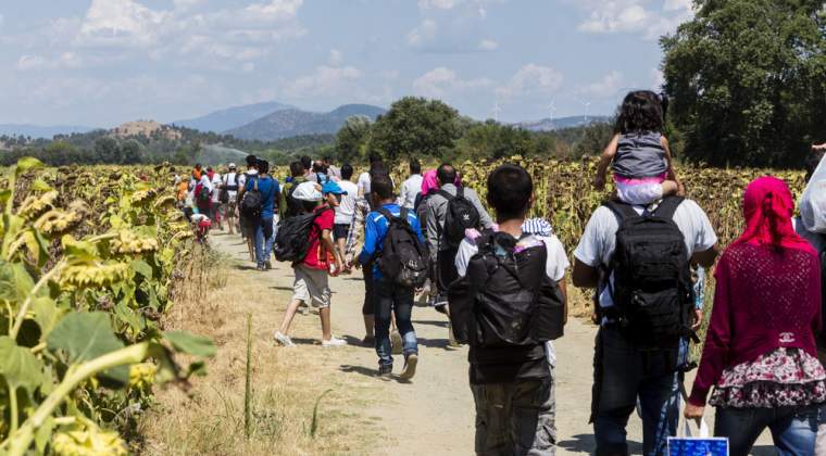 Timiş: 60 de migranţi, prinşi când intrau ilegal în România din Serbia, ei fiind duşi la audieri