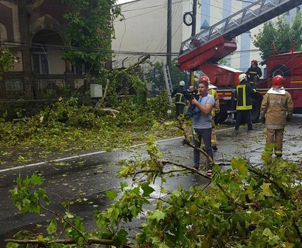 ISU: Cinci copaci au căzut, miercuri seara, în Capitală, în urma Codului galben de furtuni
