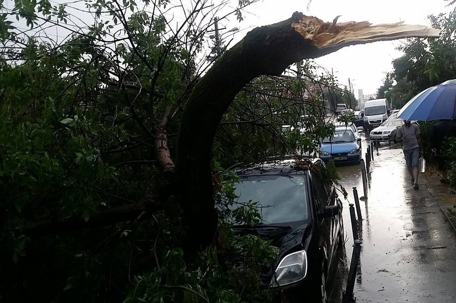 Vântul face ravagii: 54 copaci căzuţi pe 41 maşini în Bucureşti. Mai mulţi oameni au fost răniţi. Cât mai durează codul galben de vânt
