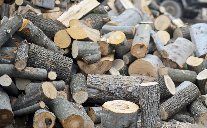 Guvernul plafonează miercuri preţurile la lemnele de foc