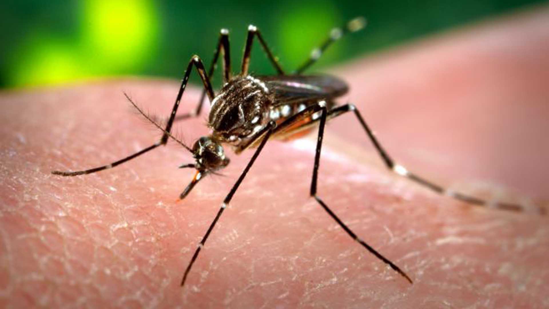 Primul caz de transmitere pe cale sexuală a virusului Zika, înregistrat în Franţa