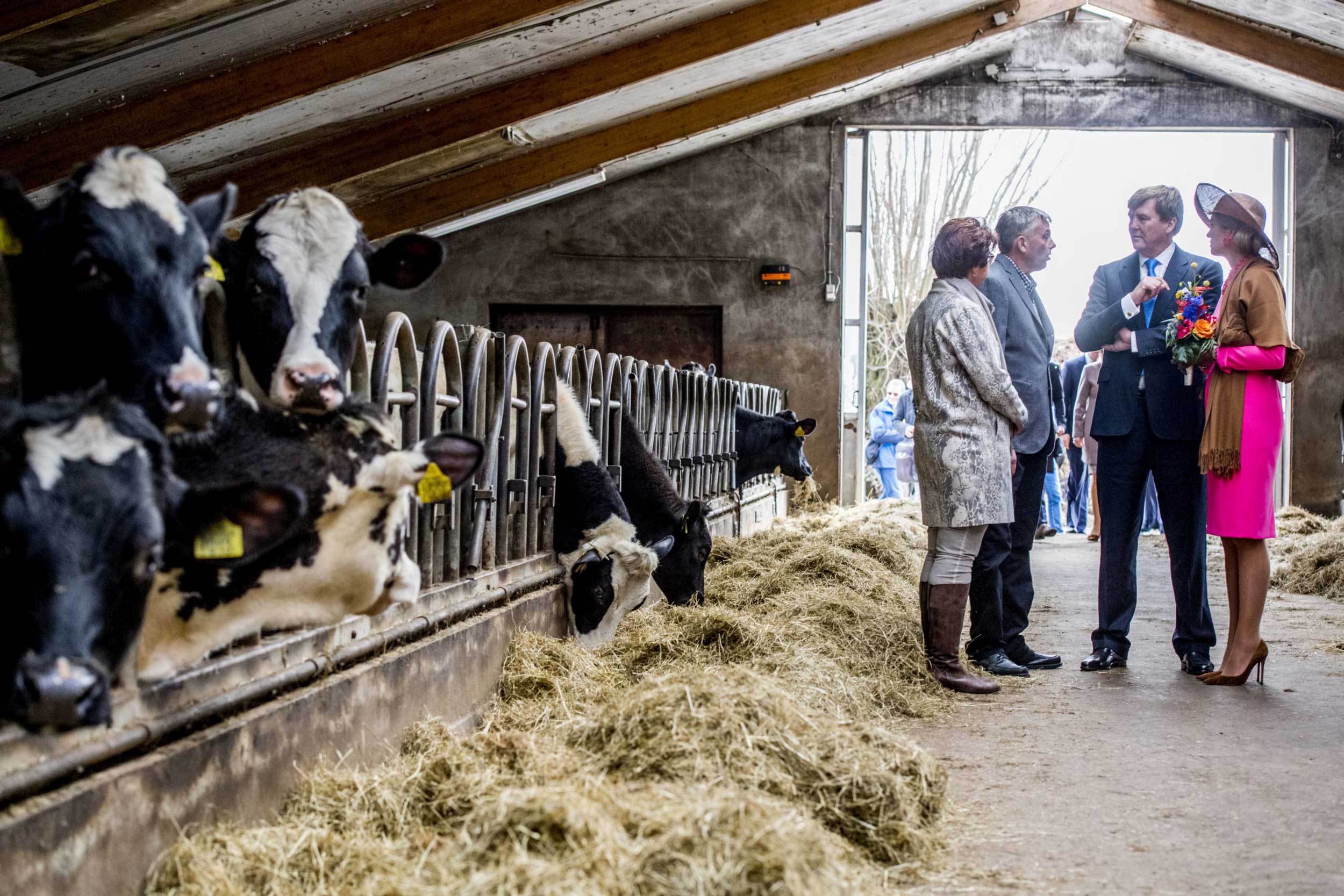 Fermierii români au la dispoziţie 126 mil. euro pentru creditarea investiţiilor după semnarea acordul MADR-FEI:„Dobânzile creditelor în lei pentru investiţiile fermierilor vor fi la jumătate”