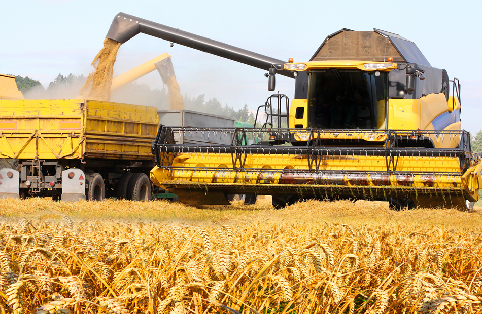 Comerţul cu cereale a crescut de trei ori în ultimii zece ani