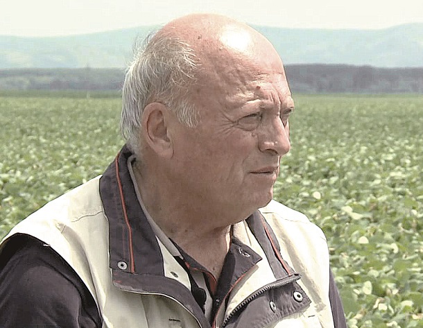 Administratorul Agricost avertizează: Subvenţiile fermierilor ar putea să scadă din cauza Brexit
