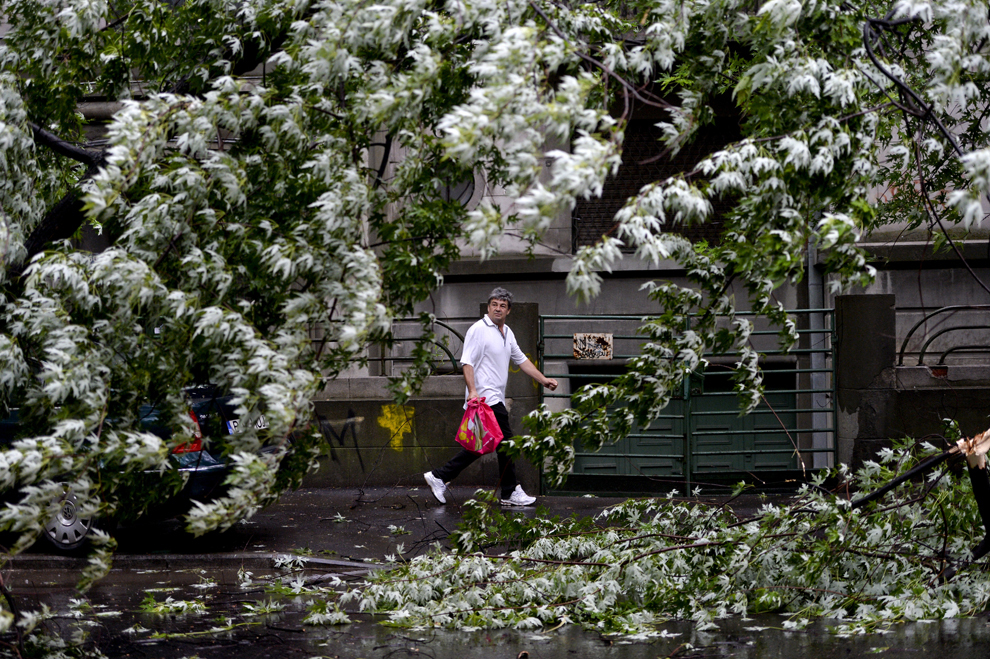 Un bărbat priveşte către un copac rupt în timpul unei furtuni, pe bulevardul Dacia din Bucureşti, joi, 23 mai 2013. 