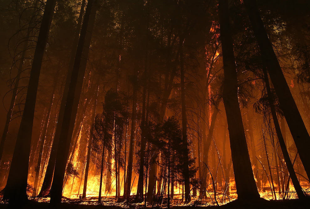 Incendiu de pădure într-o zonă a Parcului Naţional Yosemite, situată în apropierea localităţii Groveland, California, duminică, 25 august 2013. 