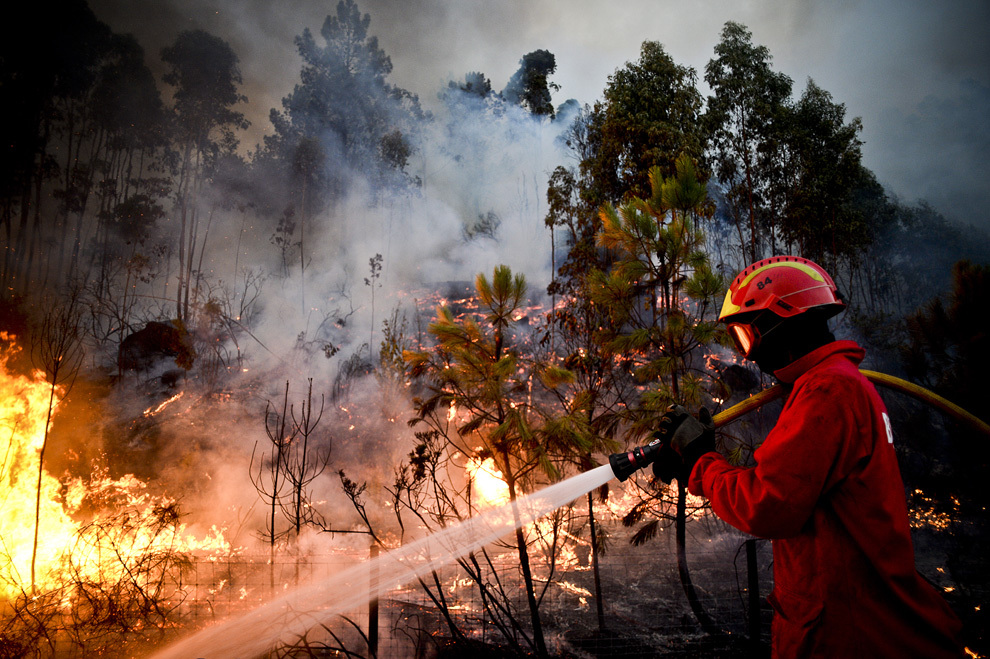 Un pompier se luptă cu flăcările în timpul unui incendiu de vegetaţie, în Talhadas, aproape de Oliveira de Frades, centrul Portugaliei, luni, 26 august 2013. 