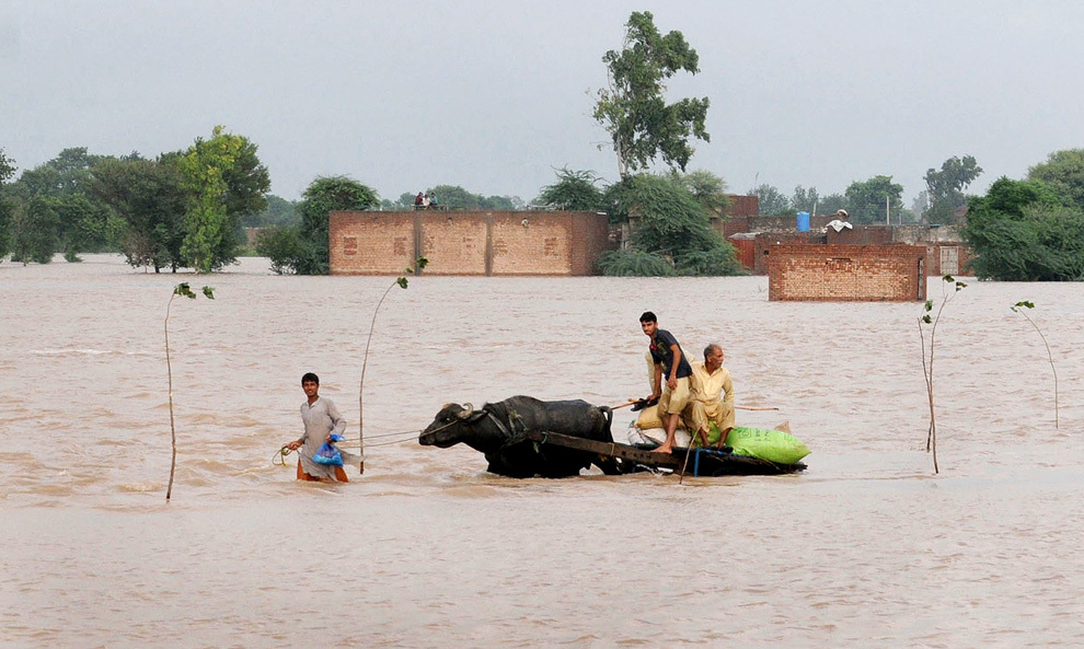 Sinistraţi pakistanezi traversează o zonă inundată din Kala Shah Kako, duminică, 18 august 2013. Ploile musonice au cauzat inundaţii pe tot teritoriul Pakistanului. 