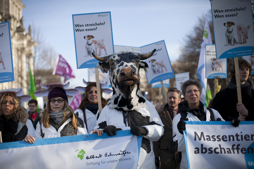 Oameni participă la marşul de protest faţă de agricultura cu seminţe modificate genetic, în cadrul "Green Week Berlin", la Berlin, Germania, sâmbătă, 18 ianuarie 2014.