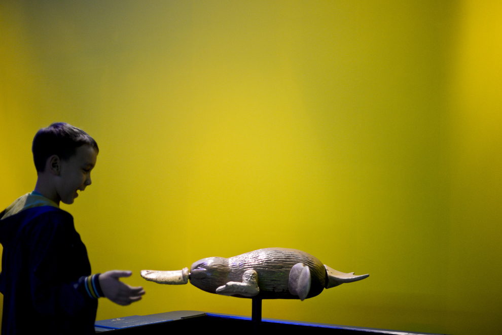 Un copil interacţionează cu macheta unui ornitorinc din expoziţia "The Robot Zoo", în Bucureşti, joi, 27 februarie 2014.