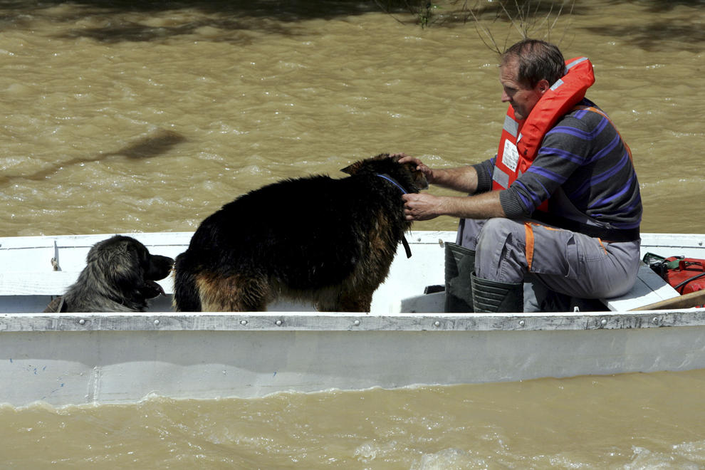 Un salvator croat cu doi câini, într-o barcă pe o stradă inundată în satul Gunja, în estul Croaţiei, duminică, 18 mai 2014.
