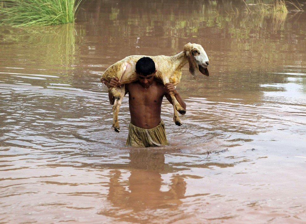 Un bărbat pakistanez poartă pe umeri o oaie în timp ce merge prin apa ce a inundat un sat aflat la periferia oraşului Multan din provincia Punjab din Pakistan, marţi, 10 septembrie 2014.