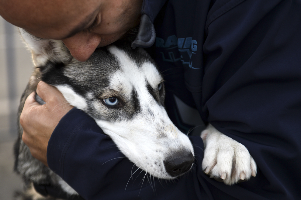 Un bărbat îşi îmbrăţişează câinele, în timpul unui protest împotriva uciderii câinilor comunitari "YES! WE CARE 3", prin care se cere toleranţă zero faţă de abuzuri, desfăşurat în Bucureşti, sâmbătă, 27 septembrie 2014.