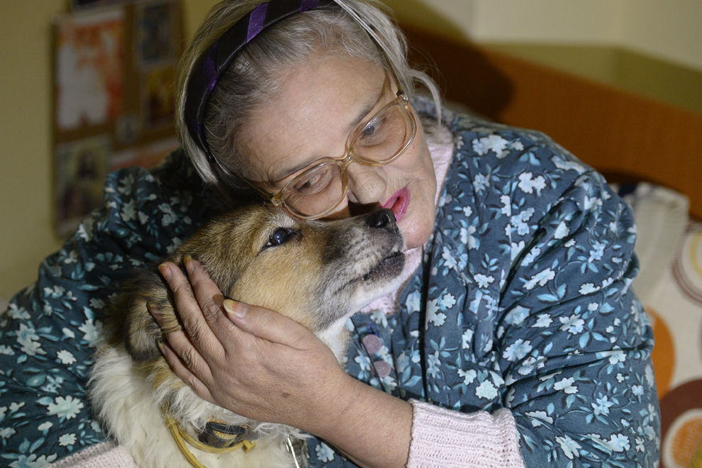 Elena Călugaru, 60 de ani, îl mângâie pe Tibi, unul dintre cei patru câini comunitari aflaţi în îngrijirea Vier Pfoten, în timpul vizitei săptămânale a câinilor la complexul de servicii sociale "Floare Roşie", în Bucureşti, miercuri, 10 decembrie 2014.