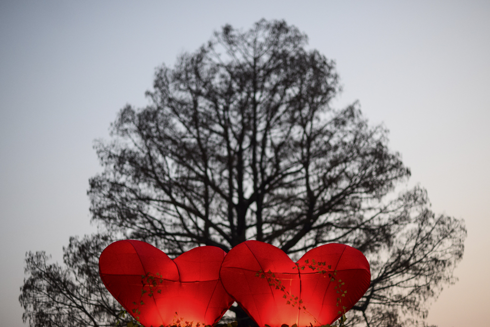 Doua inimi din hartie care decoreaza parcul Mogosoaia pot fi vazute de Ziua Indragostitilor (Sf. Valentin), in localitatea Mogosoaia, judetul Ilfov, sambata, 14 februarie 2015.
