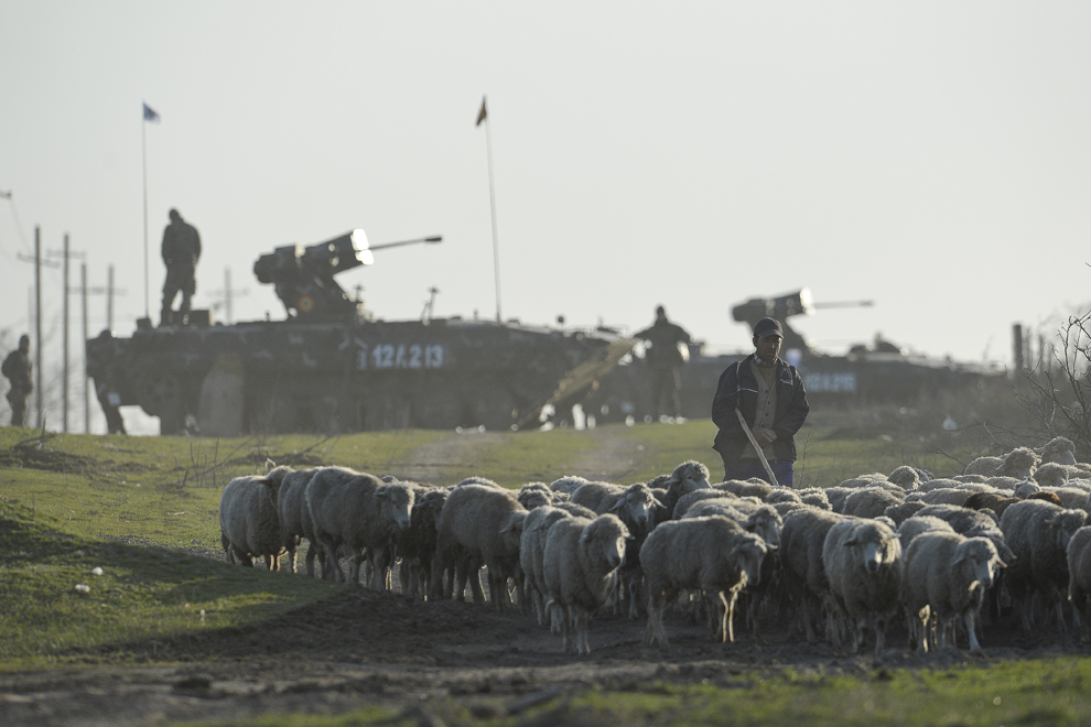 Un cioban care traversează cu turma sa de oi zona de desfăşurare a exerciţiului de alertare ordonat de către ministrul apărării naţionale este privit de militari români din cadrul Diviziei 2 Infanterie "Getica", în comuna Smârdan, judeţul Galaţi, miercuri, 15 aprilie 2015.
