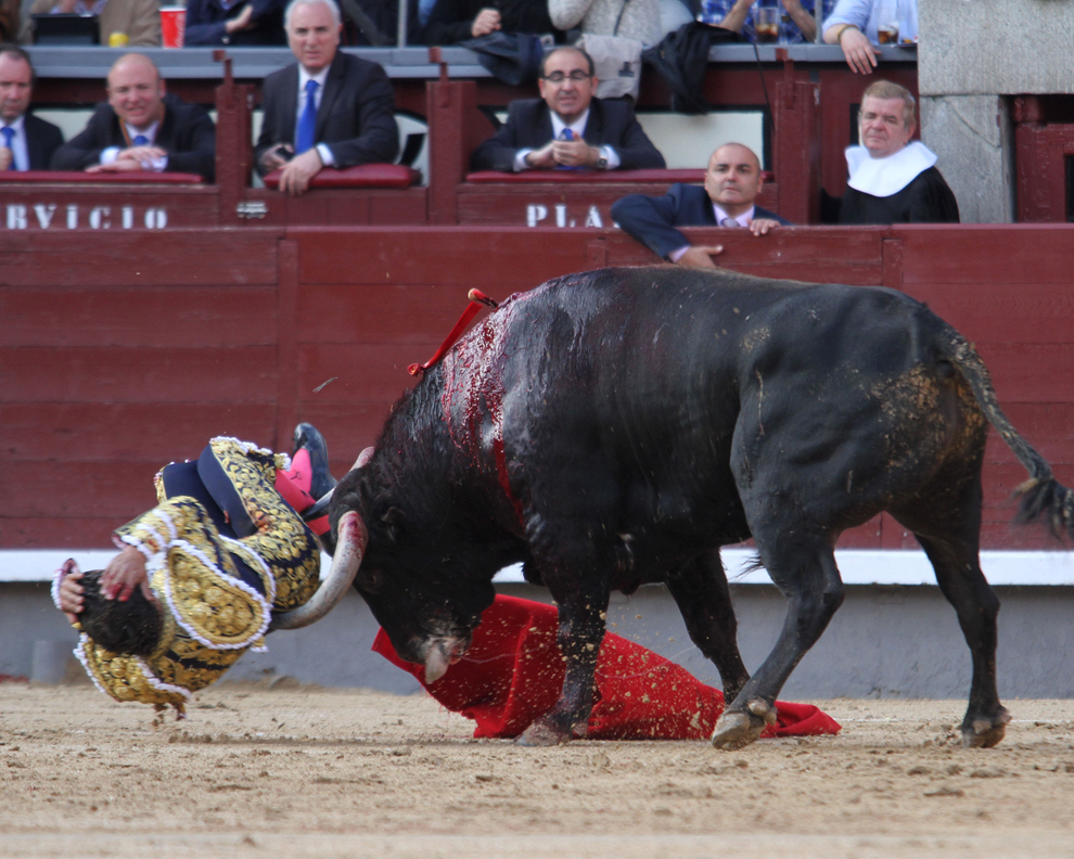 Matadorul spaniol Ivan Fandino este împuns de un taur în timpul unei coride desfăşurate la arena Las Ventas din Madrid, miercuri, 22 mai 2013. 