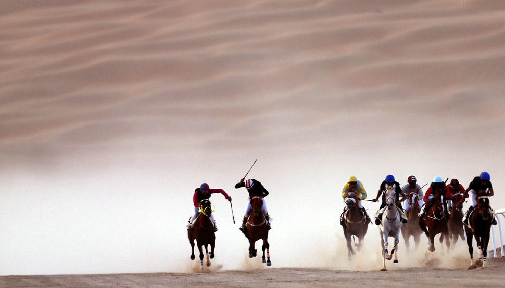 Jochei concurează într-o cursă de cai arabi pursânge, in timpul întrecerii Liwa 2014 Moreeb Dune Festival, joi, 2 ianuarie 2014, în deşertul Liwa, 250 km vest de Abu Dhabi.