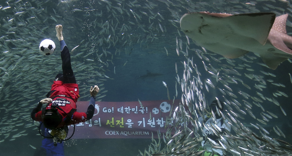 Un scafandru face o demonstraţie de fotbal sub apă la Acvariul COEX în sudul Seul-ului, Coreea de Sud, luni, 9 Iunie 2014.