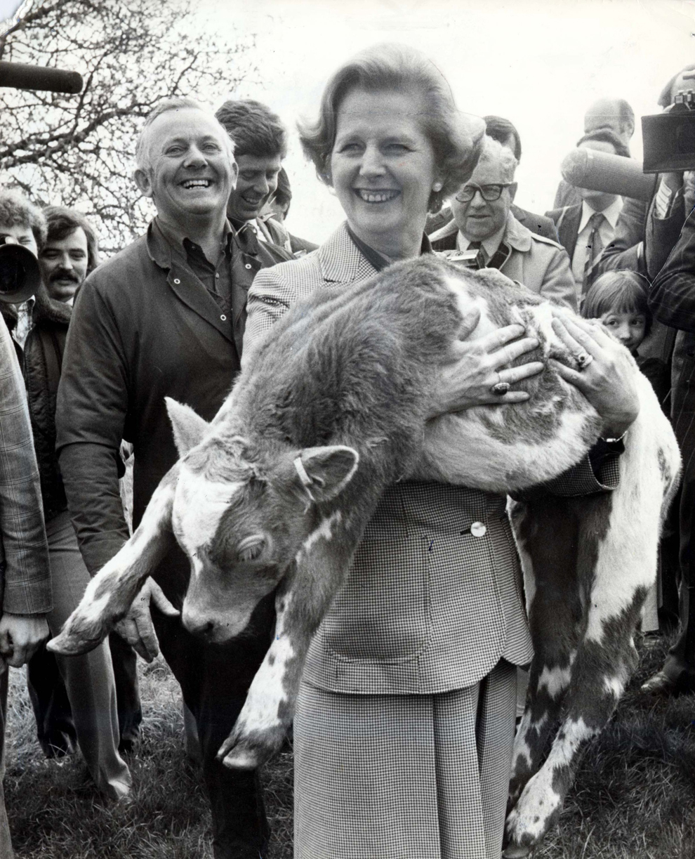 Liderul Partidului Conservator britanic Margaret Thatcher ţine în braţe un viţel Charolais în timpul unei vizite la o fermă din Willisham, lângă Ipswich, în timpul campaniei electorale, marţi, 17 aprilie 1979.