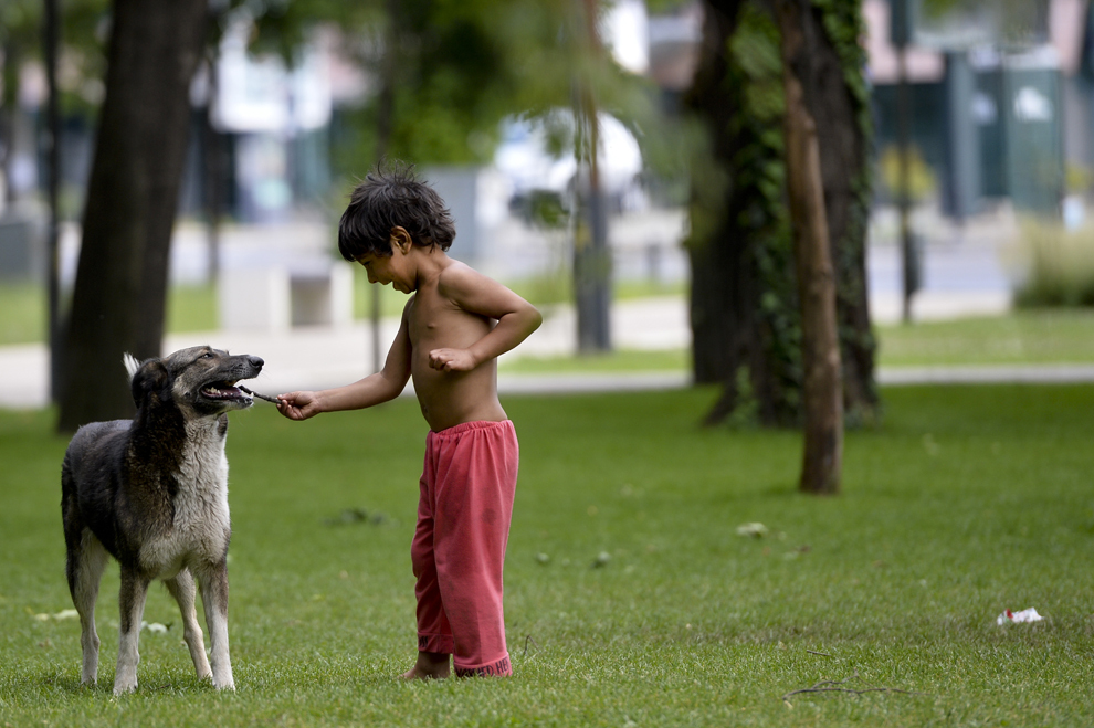 Un copil al străzii se joacă cu un câine maidanez, în parcul Operei din Bucureşti, sâmbătă, 25 mai 2013. 