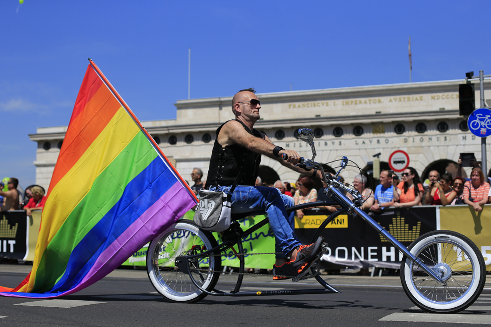 Oameni costumaţi participă la parada anuală Gay Pride Parade ce are loc în Viena, sâmbătă, 15 iunie 2013.  