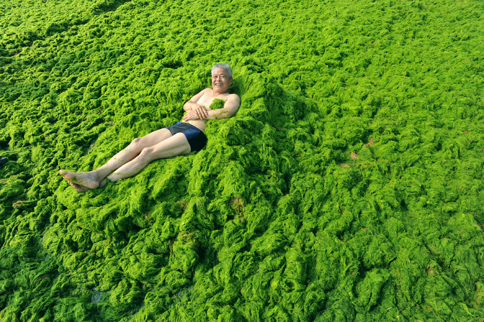 Un bărbat stă întins pe o plajă acoperită de un strat gros de alge verzi, în Qingdao, China, miercuri, 3 iulie 2013. 