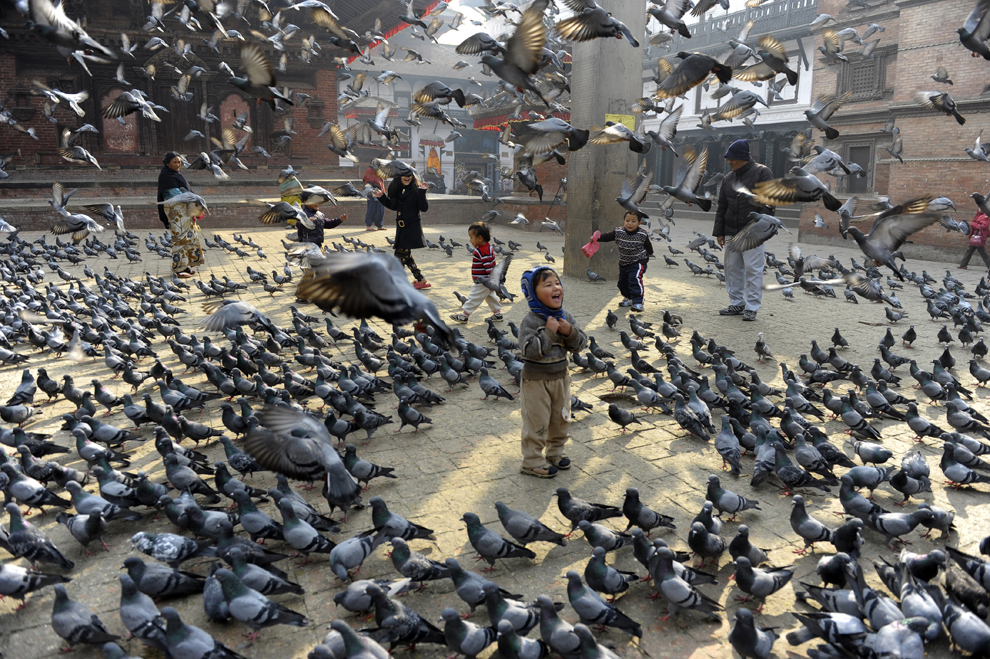 Copii nepalezi hrănesc porumbei în piaţa Durbar din Kathmandu, joi, 9 ianuarie 2014.