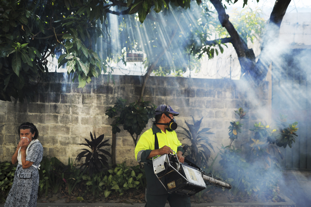 Un muncitor municipal fumighează cartierul Madreselva, împotriva ţânţarului Aedes Aegypti, vectorul febrei dengue, în San Salvador, miercuri, 10 aprilie 2013. 