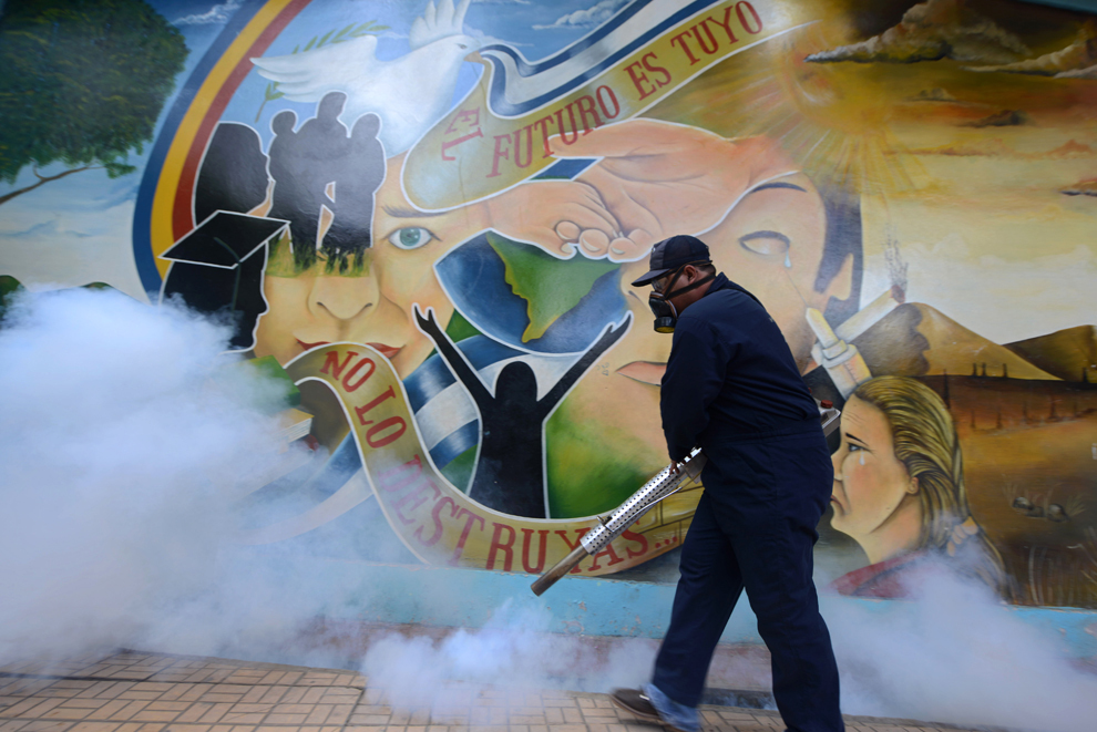 Un muncitor al ministerului sănătăţii fumighează împotriva ţânţarului Aedes Aegypti, vectorul febrei dengue, după ce preşedintele Juan Orlando Hernandez a lansat o campanie naţională împotriva febrei dengue, în Tegucigalpa, Honduras, luni, 17 februarie 2014.
