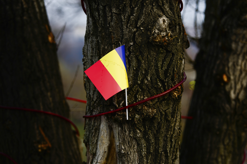 Un steguleţ în culorile drapelului naţional este prins pe un copac, în parcul Alexandru Ioan Cuza din Bucureşti, duminică, 1 decembrie 2013.