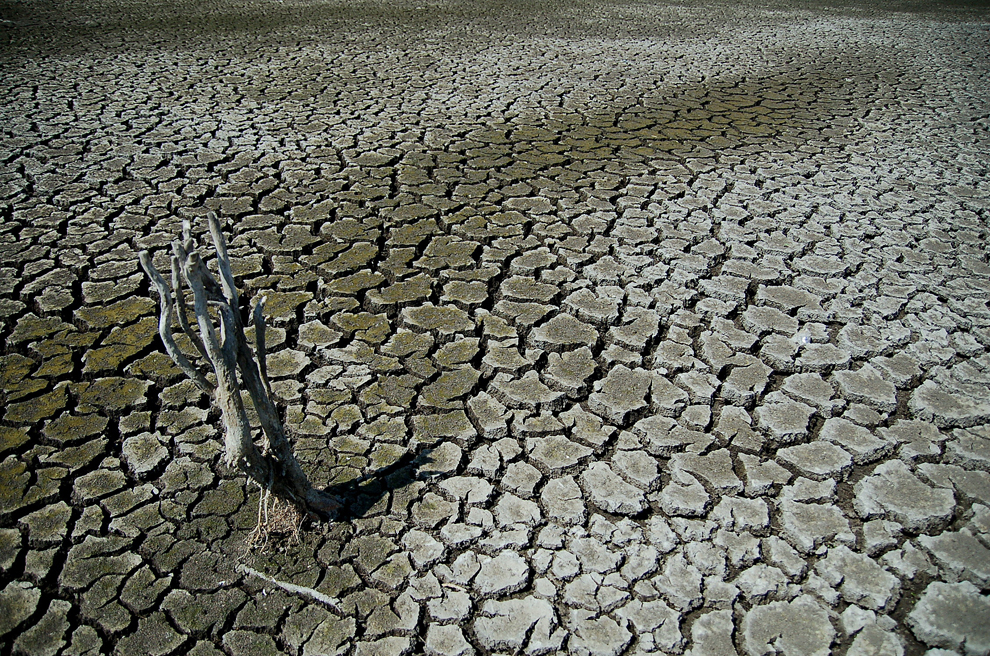 Fundul unui lac din localitatea Satchinez, judeţul Timiş, poate fi văzut ca urmare a secării acestuia în urma temperaturilor foarte ridicate, joi, 19 iulie 2007. 