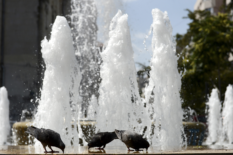 Trei porumbei beau apă dintr-o fântână arteziană, în Bucureşti, marţi, 6 august 2013.