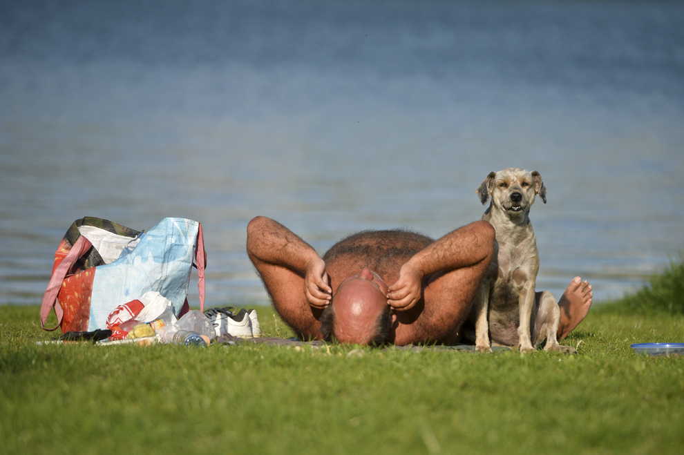 Un căţel se odihneşte lângă stăpânul său care stă la soare, pe malul lacului din parcul Titan din Bucureşti, miercuri, 9 aprilie 2014.