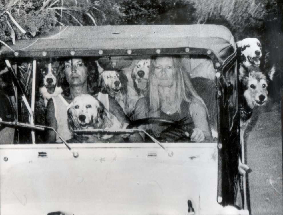 Actriţa franceză Brigitte Bardot soseşte la casa sa din St. Tropez, împreună cu o prietenă şi cei şase câini ai săi, în Saint Tropez, Franţa, 3 octombrie 1983.