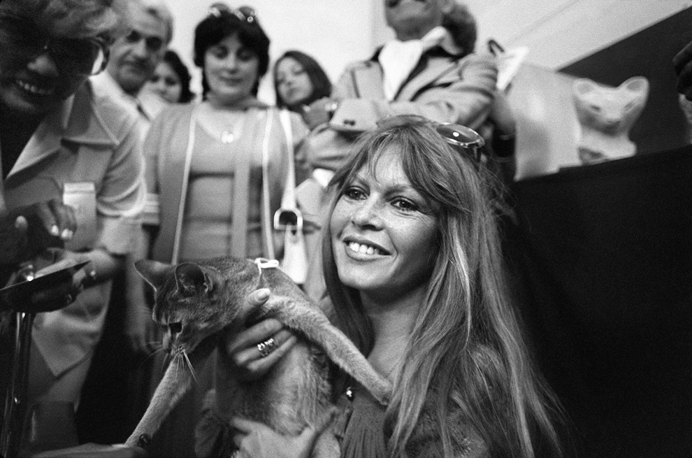 Brigitte Bardot participă la o expoziţie internaţională de feline, în Saint Tropez, Franţa, 4 iunie 1977.