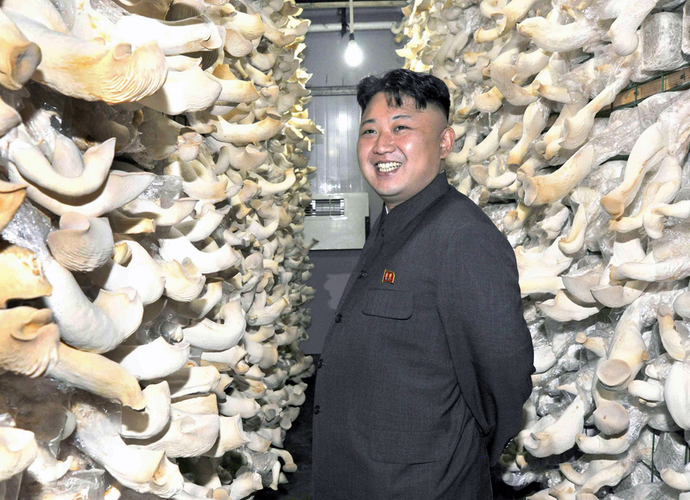 Liderul nord-coreean Kim Jong-un  inspectează o fermă de ciuperci construită de Armata Poporului Nord Coreean (KPA),  într-o imagine nedatată,  furnizată miercuri, 16 iulie 2014.  