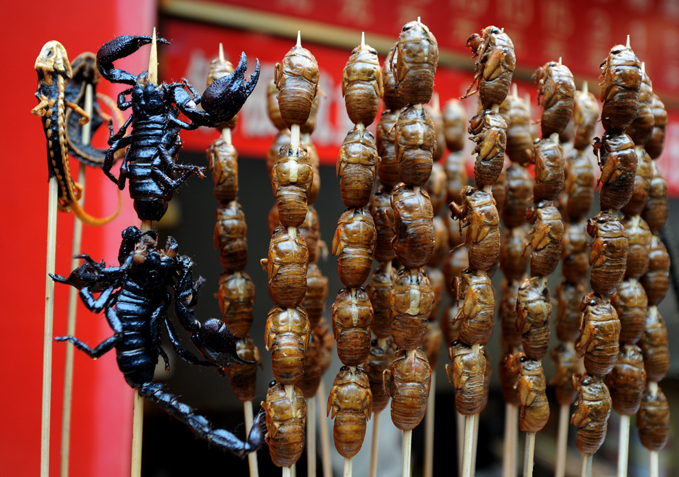 Şopârle, scorpioni şi gândaci sunt expuşi pentru vânzare la un stand cu mâncare aflat pe strada comercială Wangfujing din Beijing, marţi, 17 ianuarie 2013. 