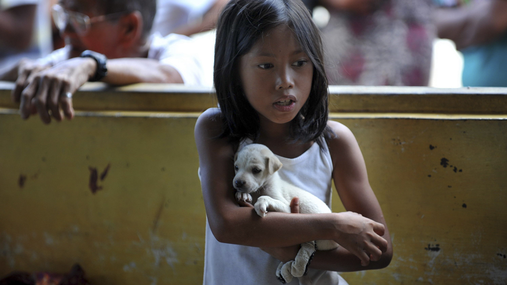 O fetiţă ţine în braţe un căţel, în timp ce activişti VIER PFOTEN vaccinează câini şi distribuie furaje pentru animale la ferma localnicilor din Bintuan Island, Filipine, 1 decembrie 2013. Fundaţia VIER PFOTEN a demarat un proiect pentru a ajuta animalele domestice şi din ferme, după ce ciclonul Haiyan a lovit insulele din Pacific.