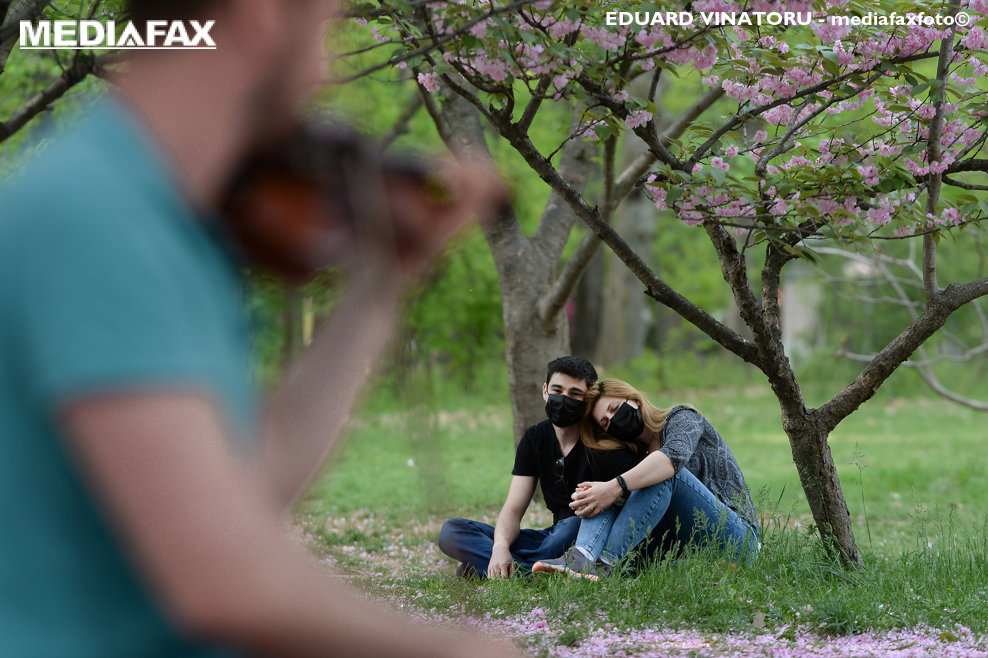 Un cuplu de tineri se odihneste sub un copac inflorit, marti, 4 mai 2021, in Parcul Herstrau din Bucuresti. EDUARD VINATORU / MEDIAFAXF FOTO