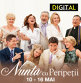THE BIG WEDDING /  NUNTA CU PERIPETII - DIGITAL
