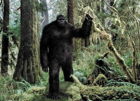 În Washington nu ai voie să hărţuieşti un Bigfoot