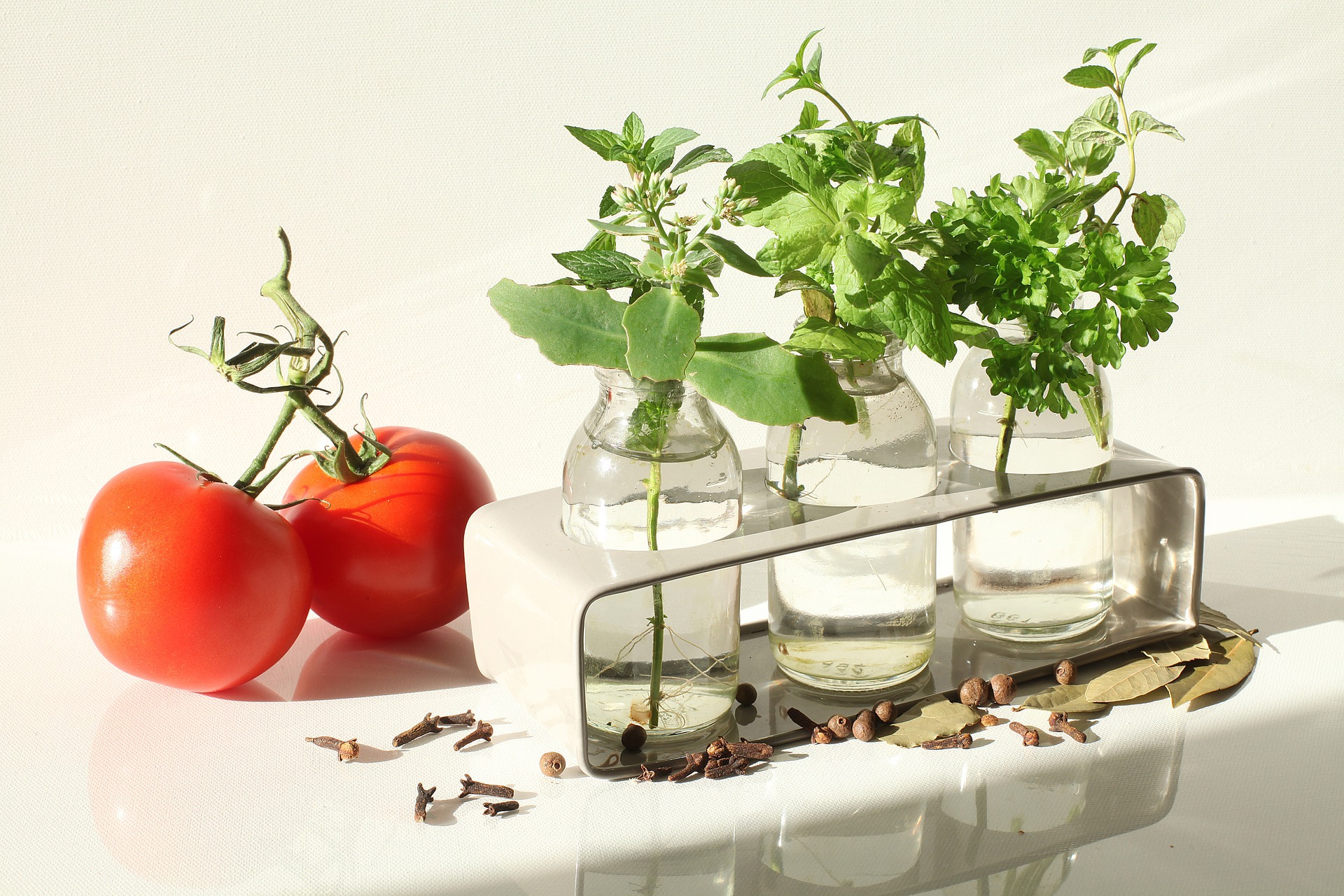 5 plante aromatice pe care le poţi creşte în casă