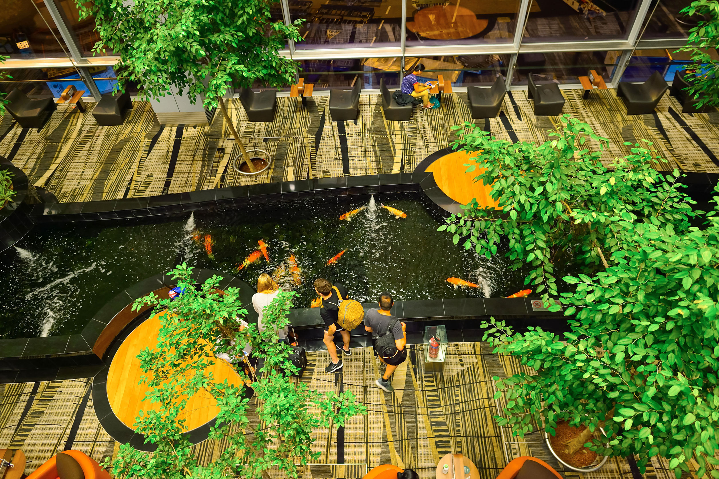 Cel mai bun aeroport din lume, transformat în oraş: masa la Changi