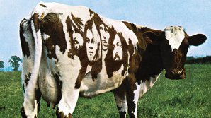 Serial Pink Floyd - episodul 8: De unde vine denumirea albumului 
