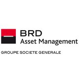 BRD - Asset Management
