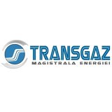 Transgaz_Bronze