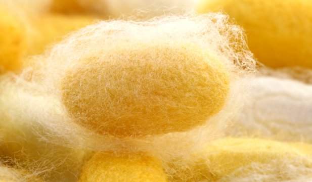  Un material hi-tech care ar putea salva milioane de vieţi: mătasea naturală 