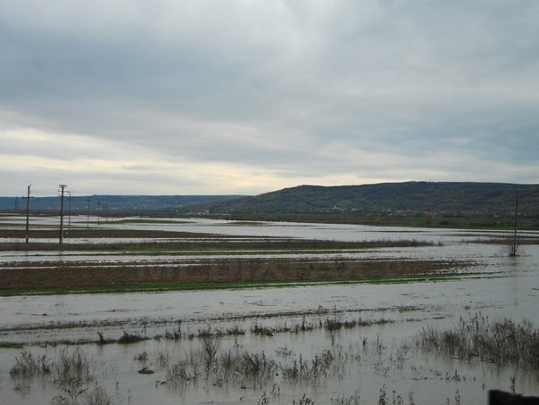 Dunărea a fost poluată cu produse petroliere, marţi dimineaţă